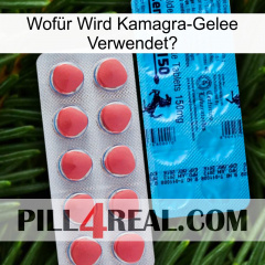 Wofür Wird Kamagra-Gelee Verwendet1 new14